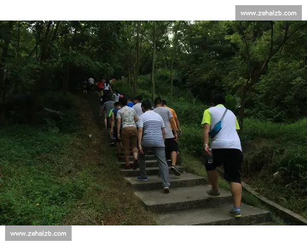 全民计步挑战赛,激发活力,迈向健康新生活,携手同行,共创步数奇迹