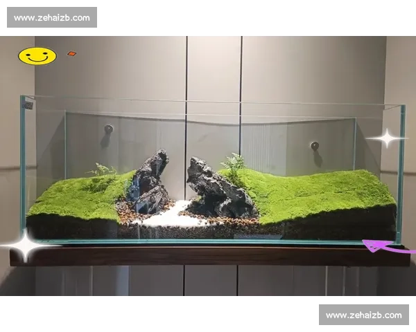 鱼缸造景比赛：创意与自然的完美结合，打造梦幻水下世界